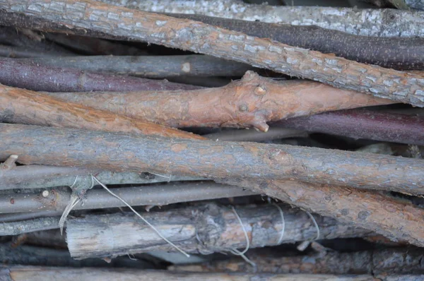 Madeira maciça e texturas de superfície de madeira serrada processadas — Fotografia de Stock