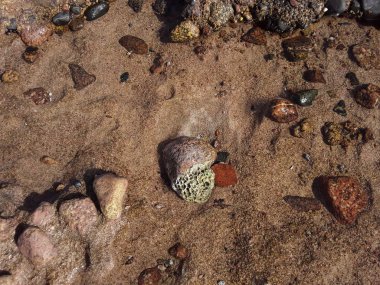 Mısır 'ın Sharm El tatil beldesinde Kızıl Deniz' deki taş dokusu. 