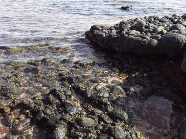 Mısır 'ın Sharm El tatil beldesinde Kızıl Deniz' deki taş dokusu. 