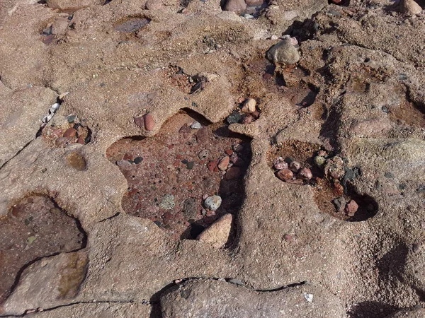 Πέτρα υφή στην Ερυθρά Θάλασσα στο αιγυπτιακό θέρετρο Sharm El — Φωτογραφία Αρχείου
