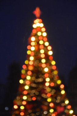 Akşam ve gece, Noel ağacı şehrin ışıklarıyla parlar.