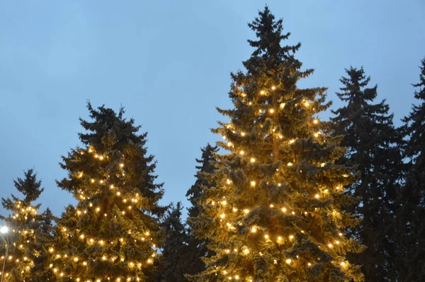 Večer a noc vánoční stromeček září se světly ve městě — Stock fotografie