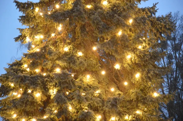 Noite e noite Árvore de Natal brilha com luzes na cidade i — Fotografia de Stock
