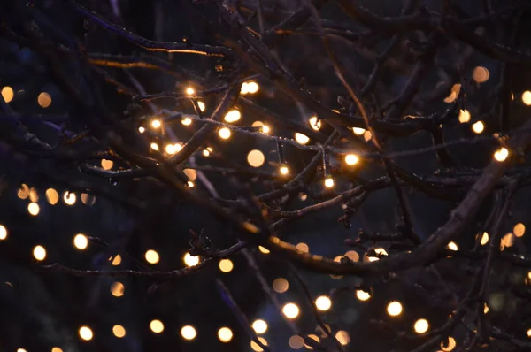 Nyår suddiga girlanger glöd på natten i sammansättning — Stockfoto