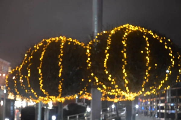 Arbres verts de Noël rétro-éclairés avec guirlandes jaunes la nuit — Photo