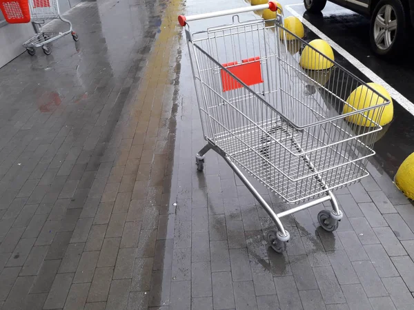 Carrinhos para produtos de mercearia estão perto de um supermercado na árvore — Fotografia de Stock