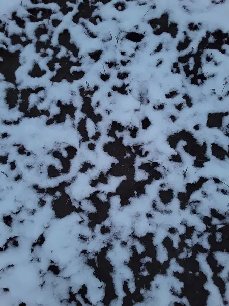 Textura de grama nevada e geada do solo a primeira neve — Fotografia de Stock