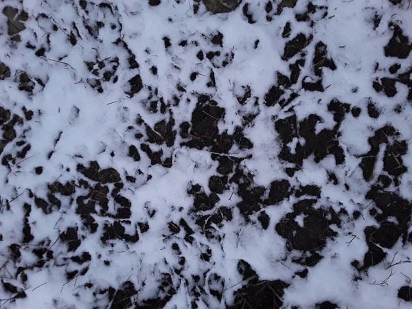 Textura de grama nevada e geada do solo a primeira neve — Fotografia de Stock