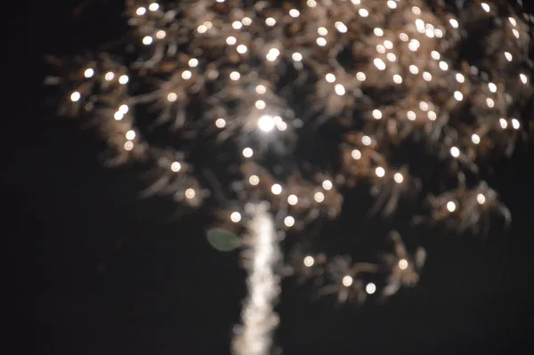 Ohňostroj exploduje v noci nového roku — Stock fotografie