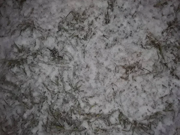 Schnee liegt im Winter auf dem Gras — Stockfoto