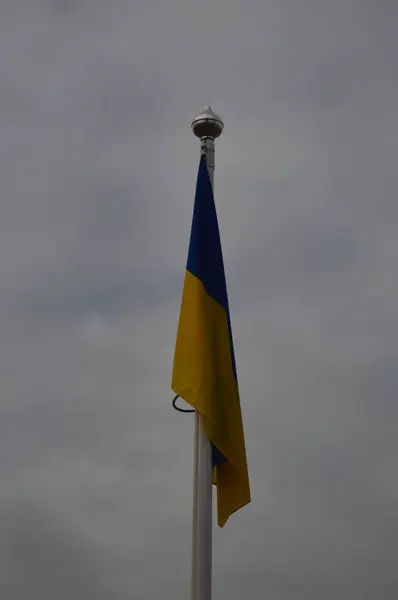 Ukraine flag hanging on a flagpole without wind — Stock Photo, Image