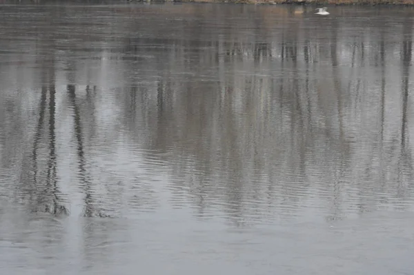 冬の水の異なる質感 — ストック写真