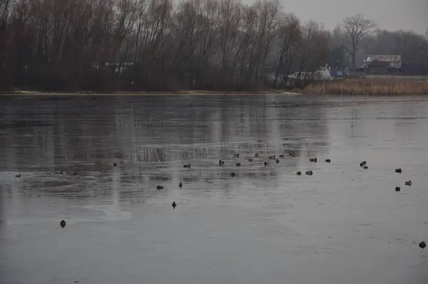 Panorama del fiume Dnieper invernale a Kiev, Ucraina — Foto Stock