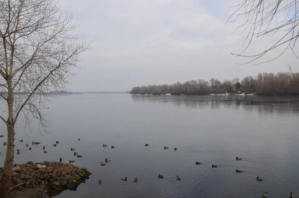 Panorama del río Dnieper de invierno en Kiev, Ucrania — Foto de Stock