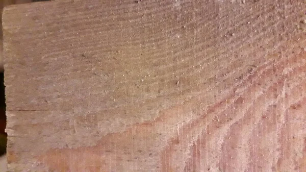 Текстура различных пород древесины — стоковое фото