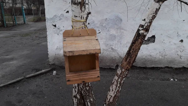 Alimentadores de aves hechos a mano colgando de ramas de árboles —  Fotos de Stock