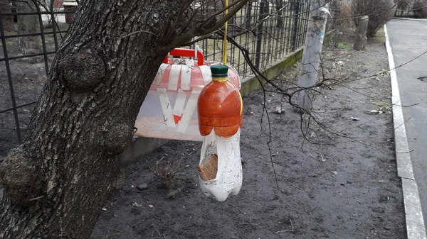 Alimentadores de aves artesanais pendurados em galhos de árvores — Fotografia de Stock