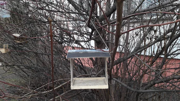 Alimentadores de aves hechos a mano colgando de ramas de árboles — Foto de Stock