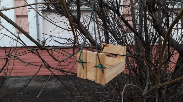 Alimentadores de aves hechos a mano colgando de ramas de árboles — Foto de Stock