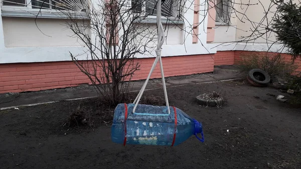 Ağaç dallarında asılı el yapımı kuş besleyiciler.