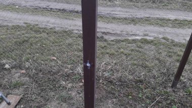 Sarmaşığı desteklemek için tel gerilimi