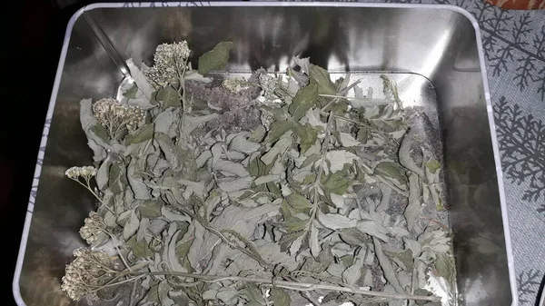Заварювання Чаю Польових Травах Ромашки Гіперікум — стокове фото