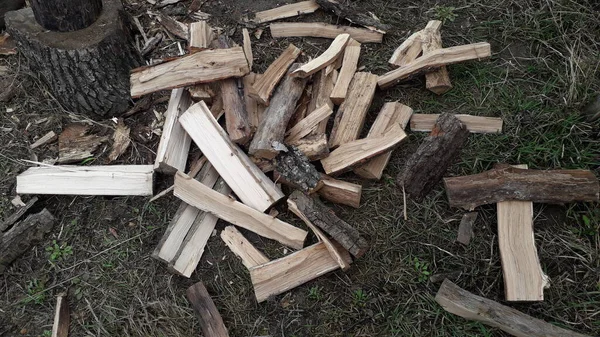 Holzeinschlag Und Lagerung Von Brennholz Auf Dem Land Für Die — Stockfoto