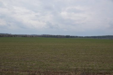 Ekinleri ekmeden önce bir bahar tarlası manzarası