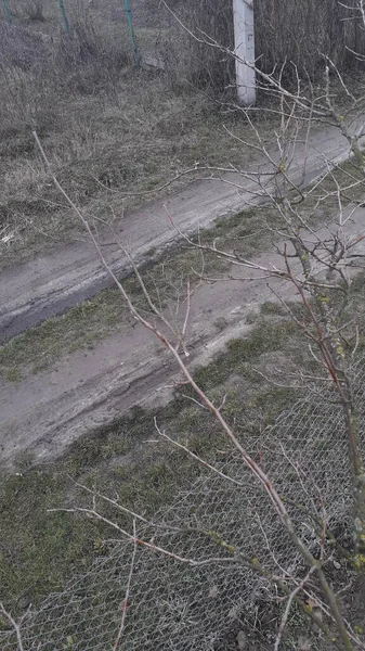 Voorjaar Snoeien Van Boomtakken Tuin — Stockfoto