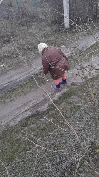 Весняна Обрізка Гілок Дерев Саду — стокове фото