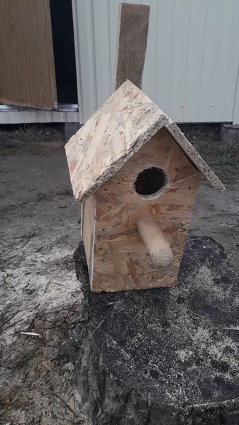 Productie Installatie Van Vogelhuisje Voor Vogels Een Boom — Stockfoto