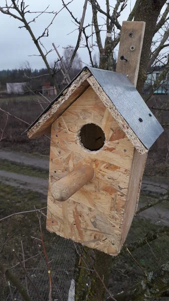 Produção Instalação Casa Pássaros Para Pássaros Uma Árvore — Fotografia de Stock