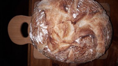 Mutfakta çeşitli ev yapımı yemekler var.