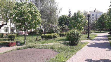 Parkın ve meydanın bahçe düzenlemesi.