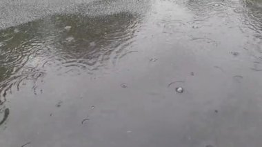 Bahar yağmuru yağıyor ve su damlaları su birikintilerine damlıyor.