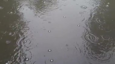 Bahar yağmuru yağıyor ve su damlaları su birikintilerine damlıyor.