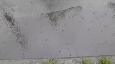 Bahar yağmuru yağıyor ve su damlaları su birikintilerine damlıyor.