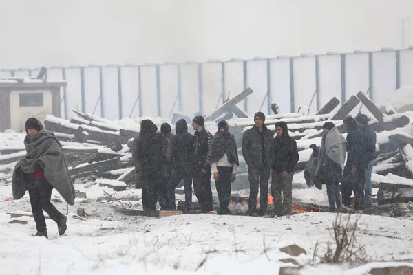 冬季在贝尔格莱德的移徙者 — 图库照片