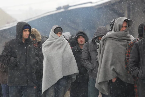 Мигранты в Белграде зимой — стоковое фото