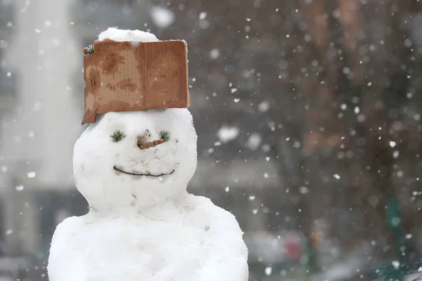 Vicces hóember a parkban kap készült karton — Stock Fotó