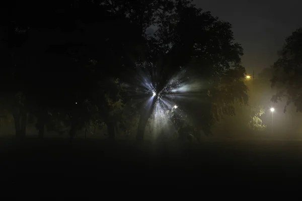 Playground lights breaking through fog and trees — Stock Photo, Image