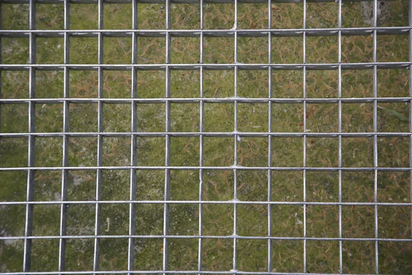 Patrón de rejillas con fondo de hierba — Foto de Stock