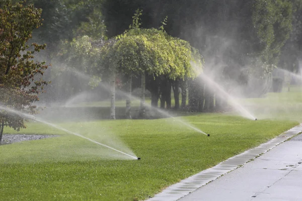 Разбрызгиватели воды поливают газон в парке — стоковое фото