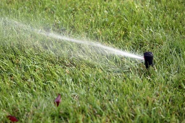 Garden sprinkler on the green lawn grass — Stock Photo, Image
