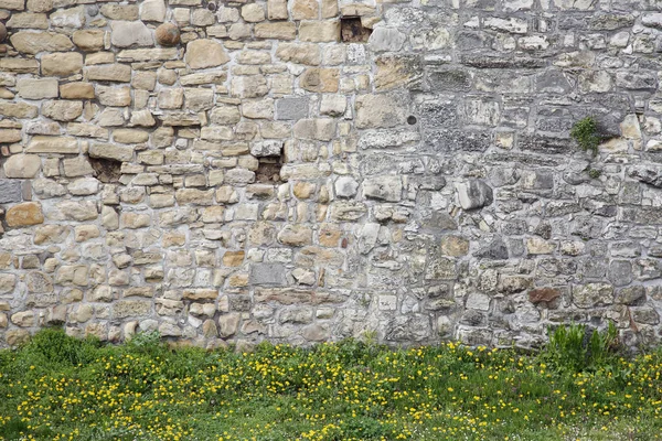 Vieux mur tronqué de forteresse à côté de l'herbe — Photo