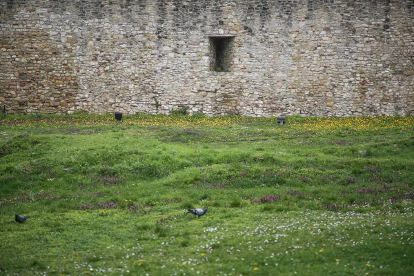 Vieux mur de pierre de forteresse à côté de la pelouse — Photo
