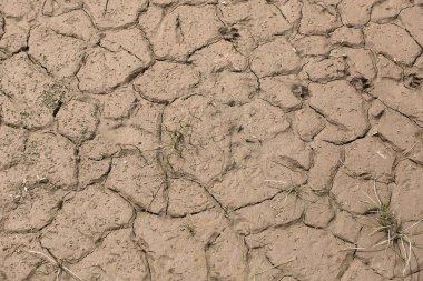 Kurutulmuş çamur Nehri yakınında 