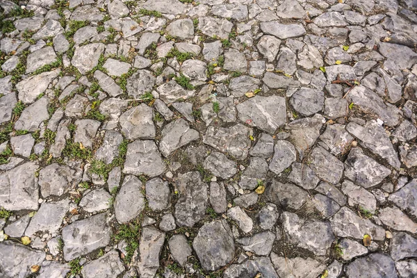 Velha textura de paralelepípedo truncado — Fotografia de Stock