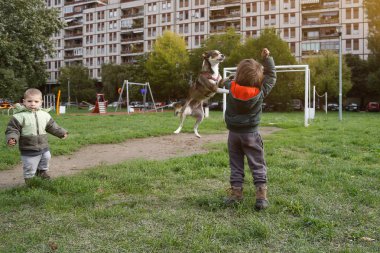 Küçük çocukları köpekle oynamayı