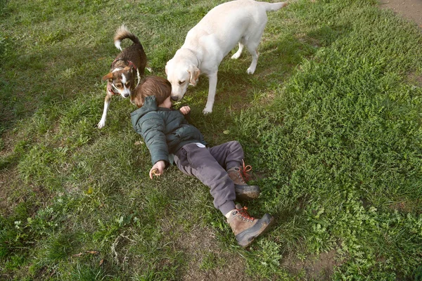 小男孩在草地上玩他的狗 — 图库照片
